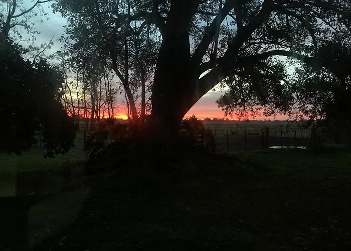 La Angelita Este